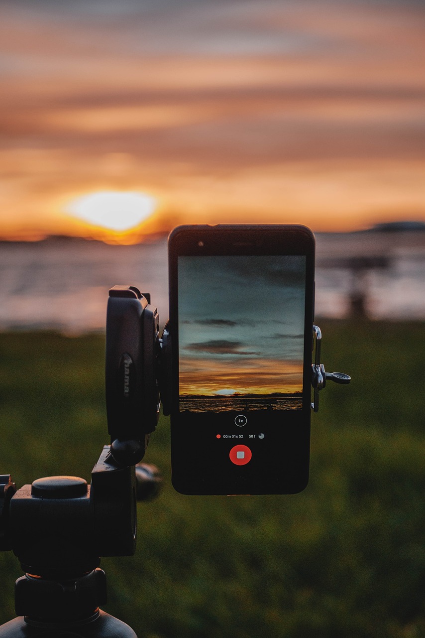 smartphone, sunset, nature